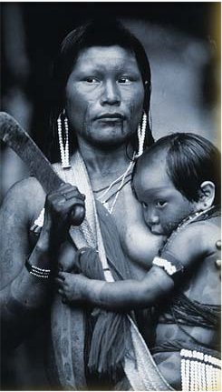 235x421 pixels (26,8K)