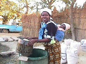 265x196 pixels (33,9K)