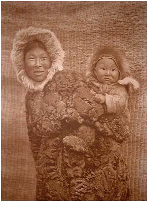 290x399 pixels (35,6K)